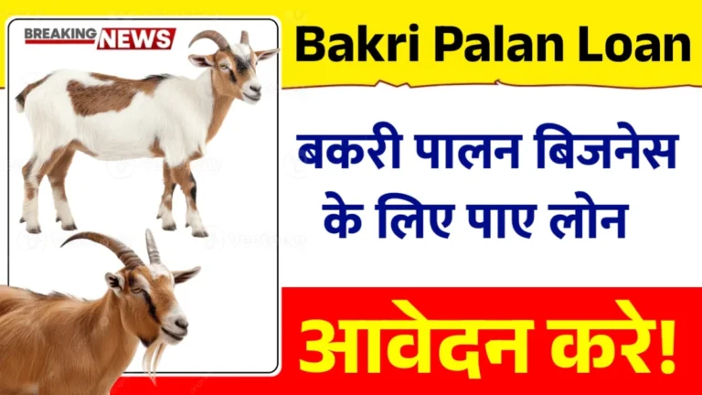 Bakri Palan Business Loan